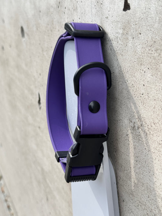 Quick Release Collar in Acai