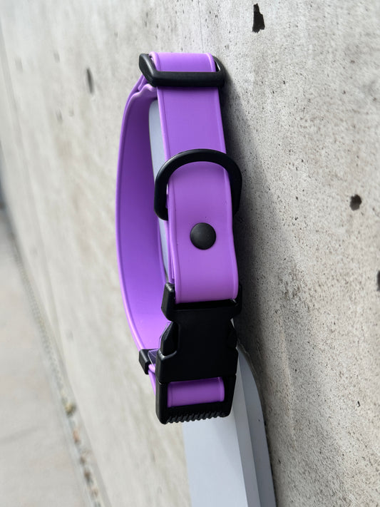 Quick Release Collar in Grape Soda