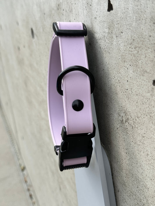 Quick Release Collar in Lavender