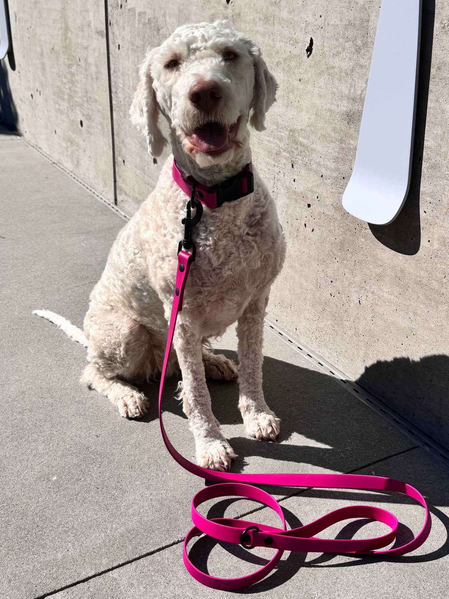 Quick Release Collar in Fuscia