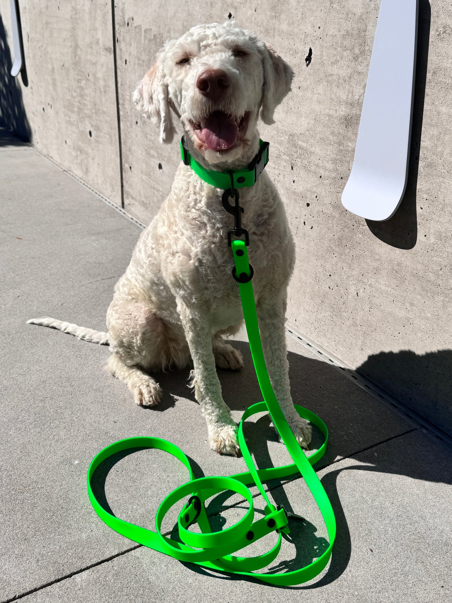 Quick Release Collar in Superhero Green