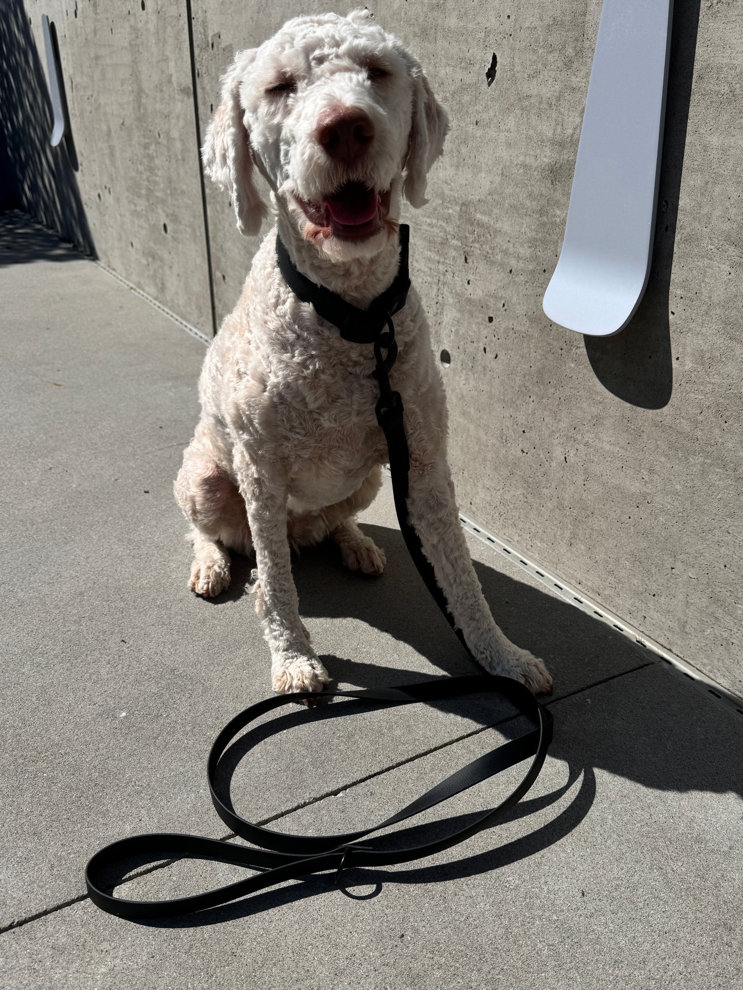 Quick Release Collar in Carbon Black