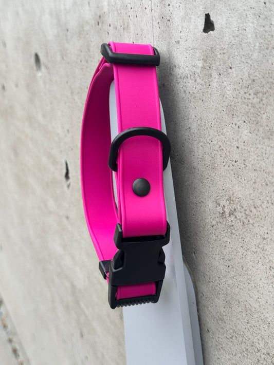 Quick Release Collar in Fuscia