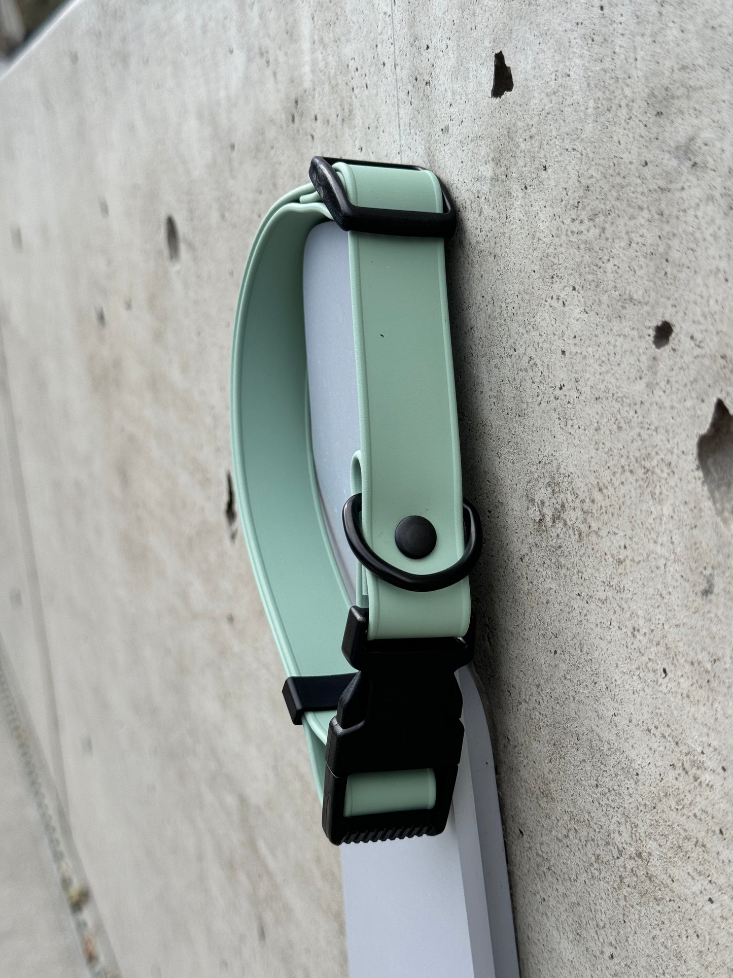 Quick Release Collar in Sage