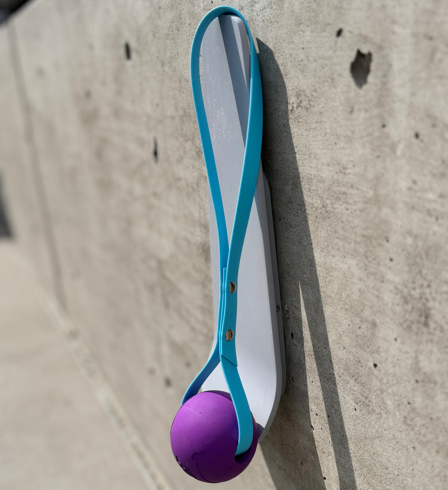 Tug and Toss Toy - Purple