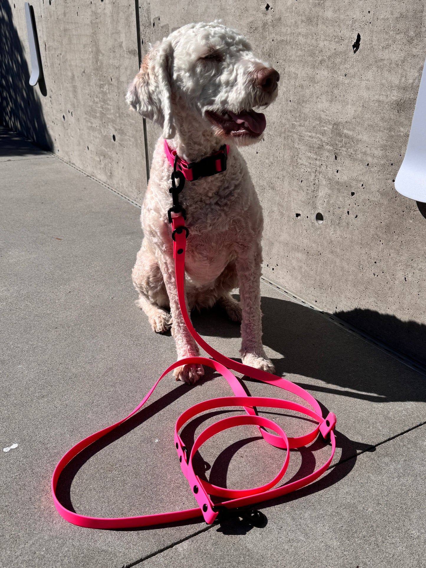 Quick Release Collar in Flamingo Pink